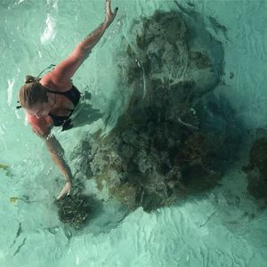 Meet your Posher, Terry